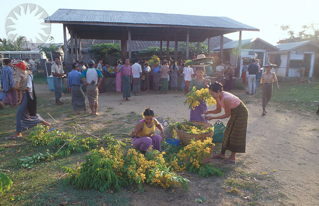 many people gathered on the side of a street to plant and cut flowers