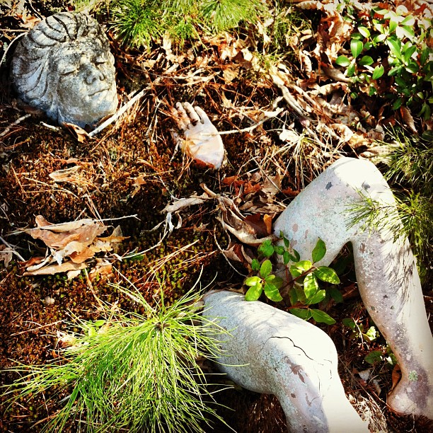 an outdoor garden with dead limbs and plants