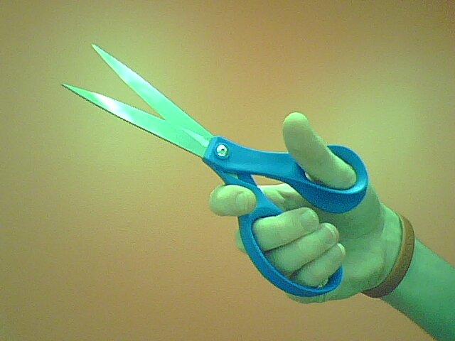 a person is holding some scissors in their hand