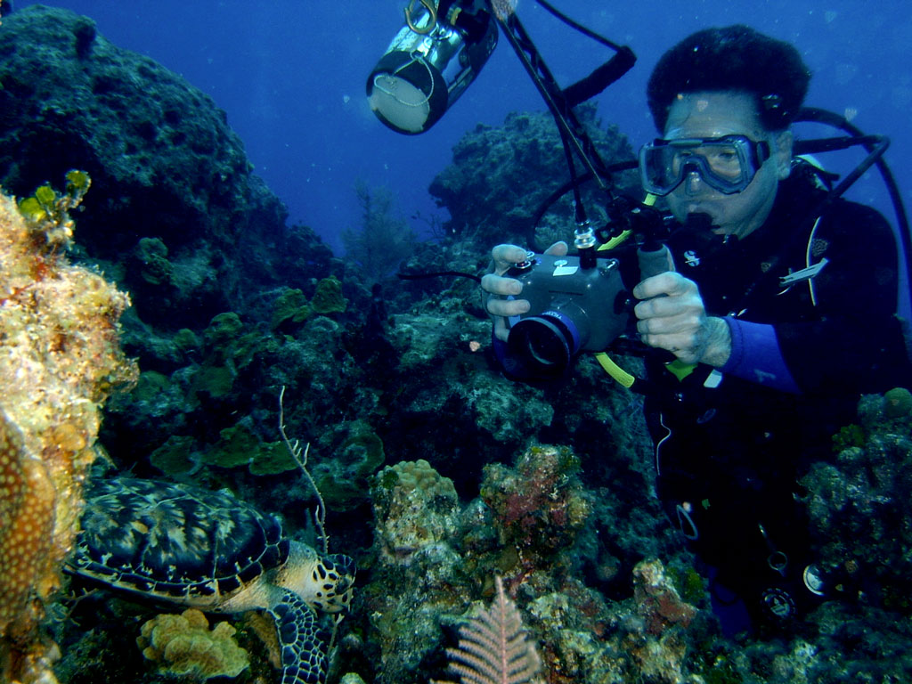 a scuba has a camera and is surrounded by sea life