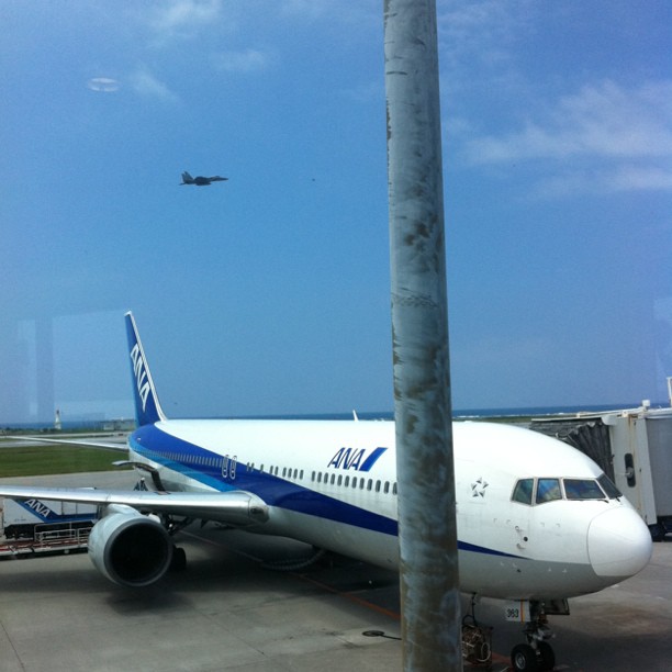 a blue and white plane is parked on the tarmac
