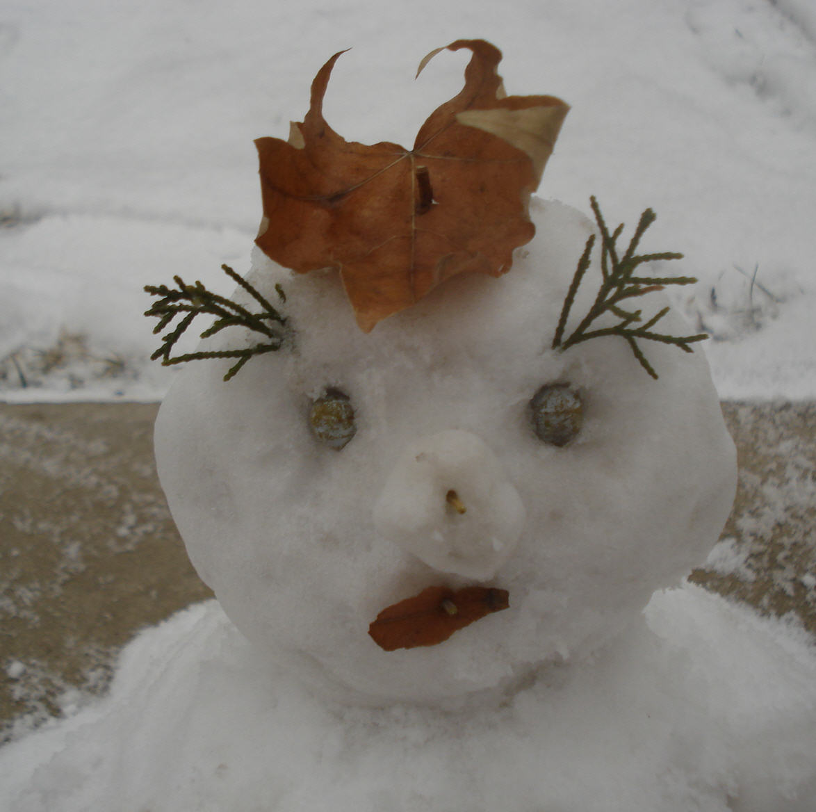 the snowman has his nose up and is made from leaves