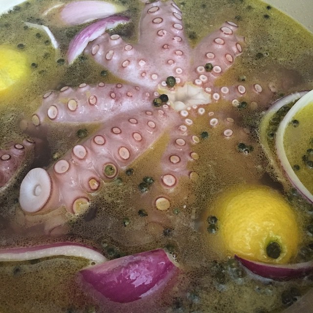 there is a bowl of soup with a octo in it