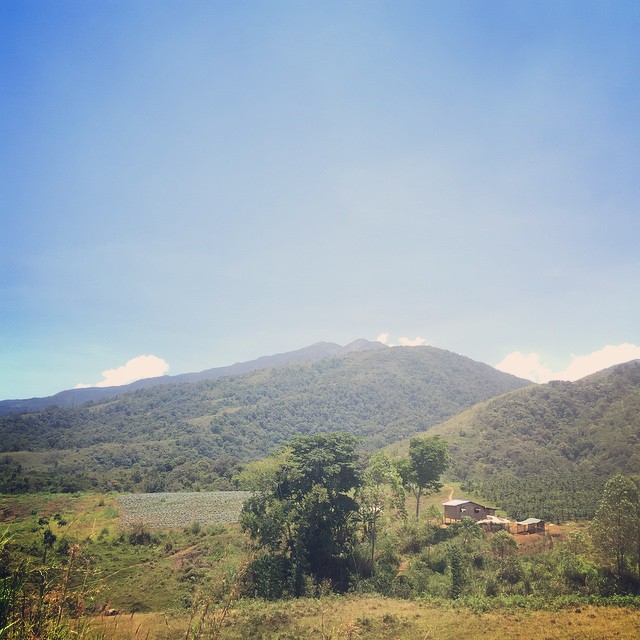 a green field and mountains on a sunny day