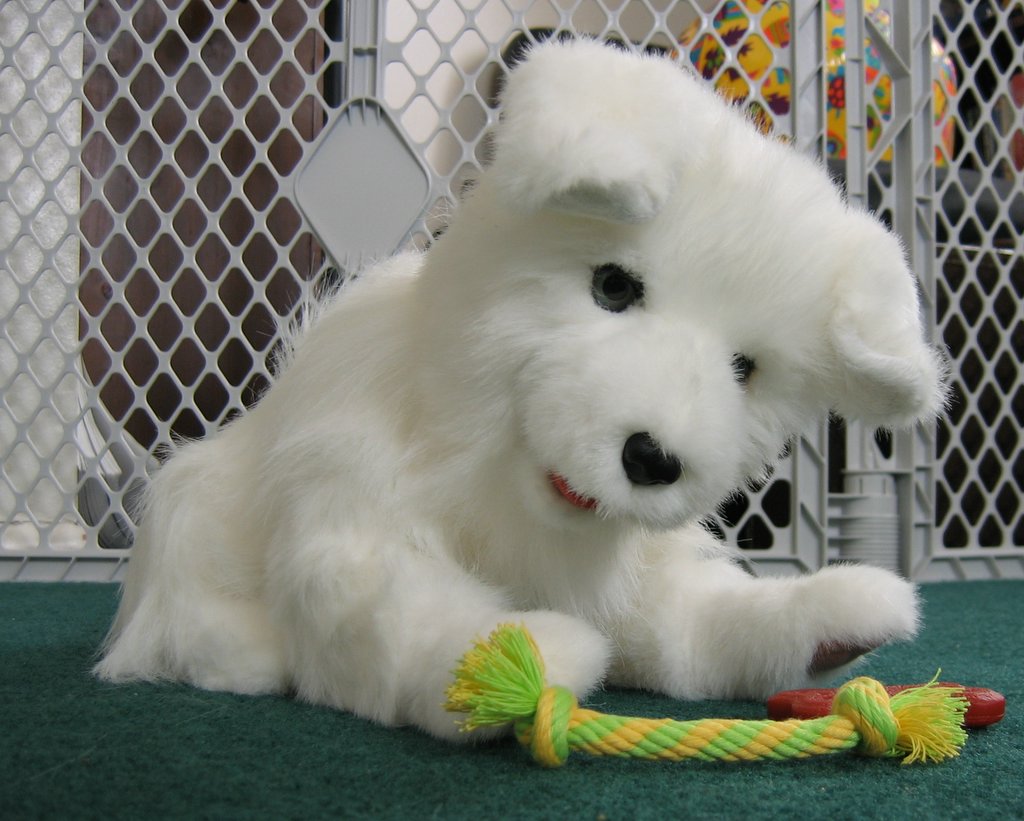 there is a white dog with his head on the toy