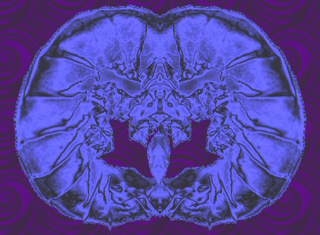 an image of abstract artistic designs on a dark purple background