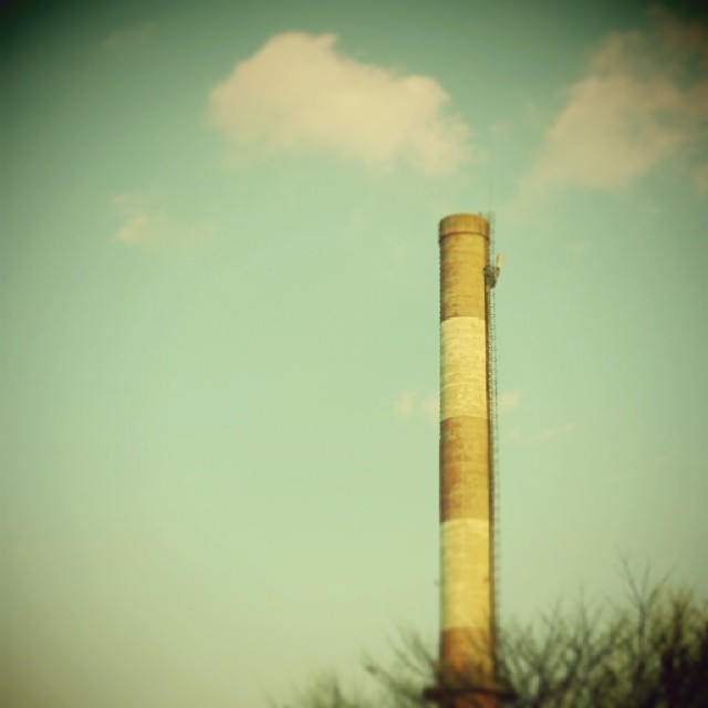 a tall chimney stands in the middle of trees