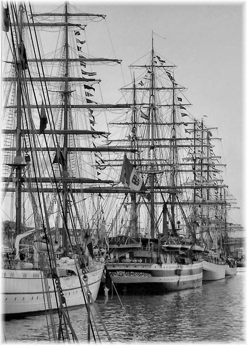 large masted ships lined up in harbor next to each other