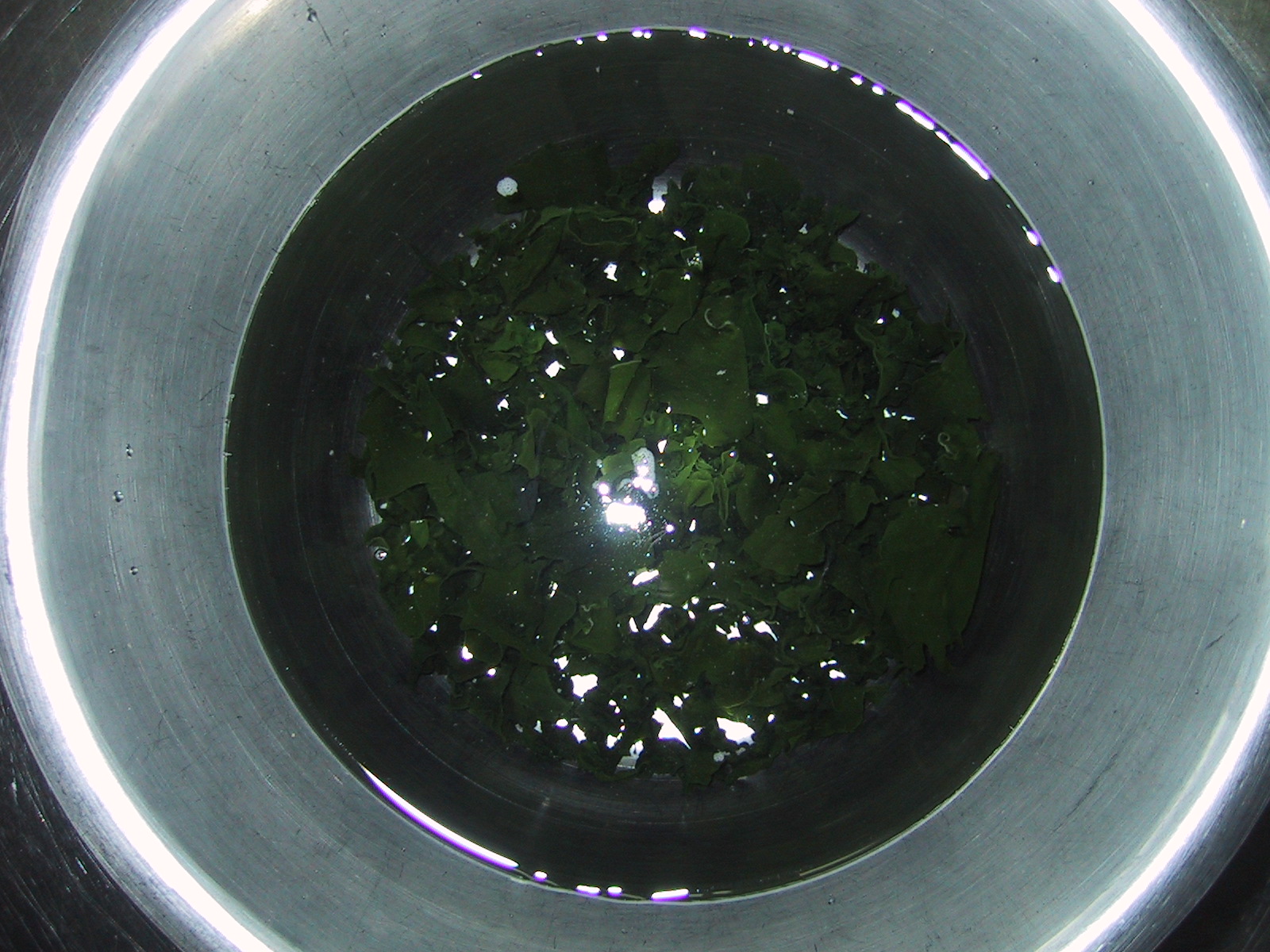 an overhead view of a clear bucket filled with water