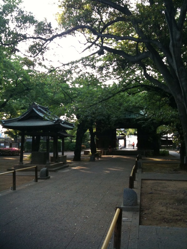 the park has a walkway to several pavilions and trees