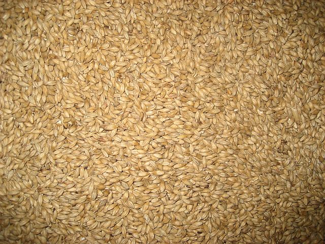 a close up view of a pile of raw grain
