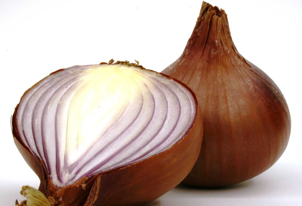 the onion bulb is half eaten and half half opened