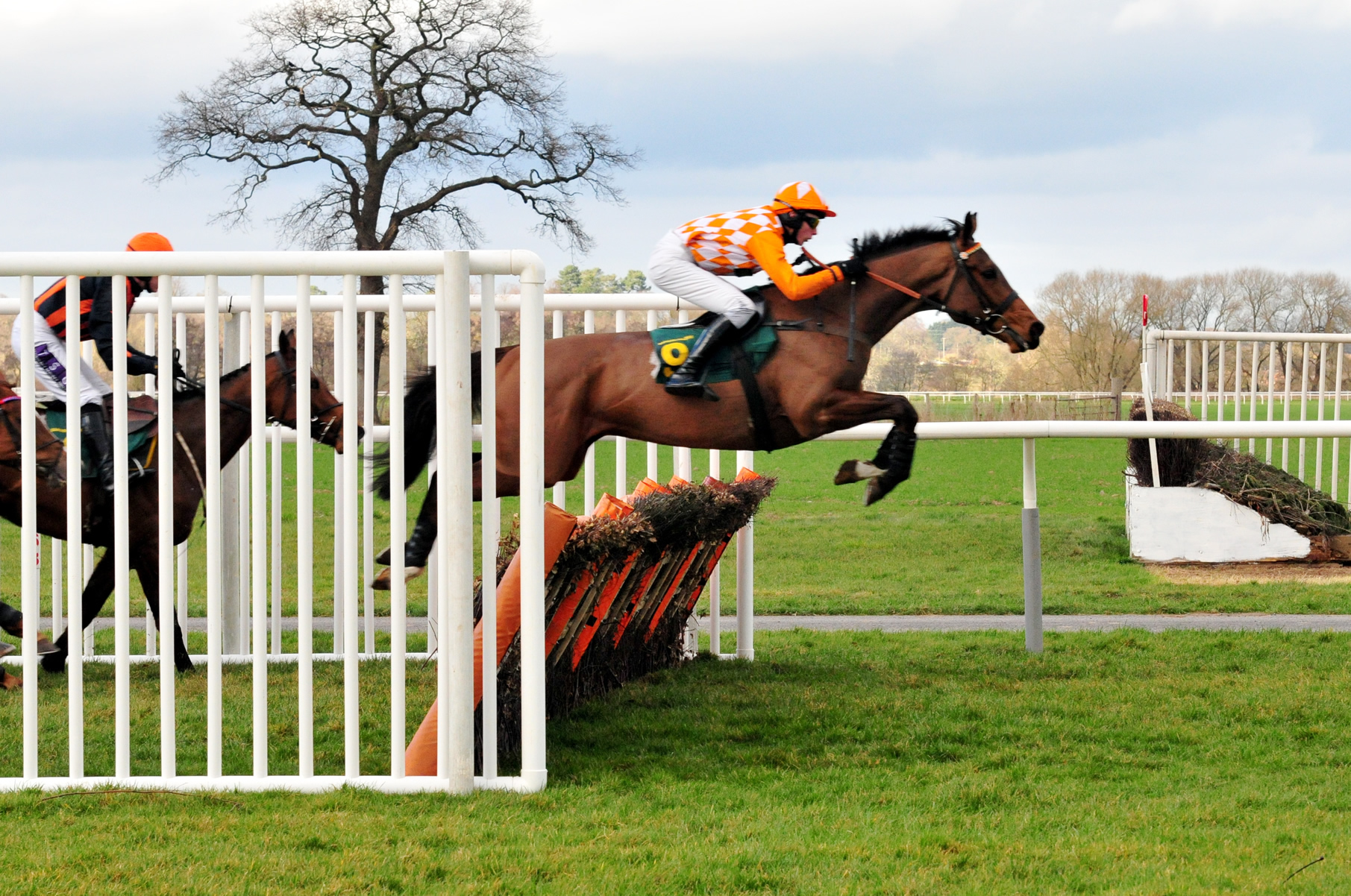 a horse jumping over a fence in the field