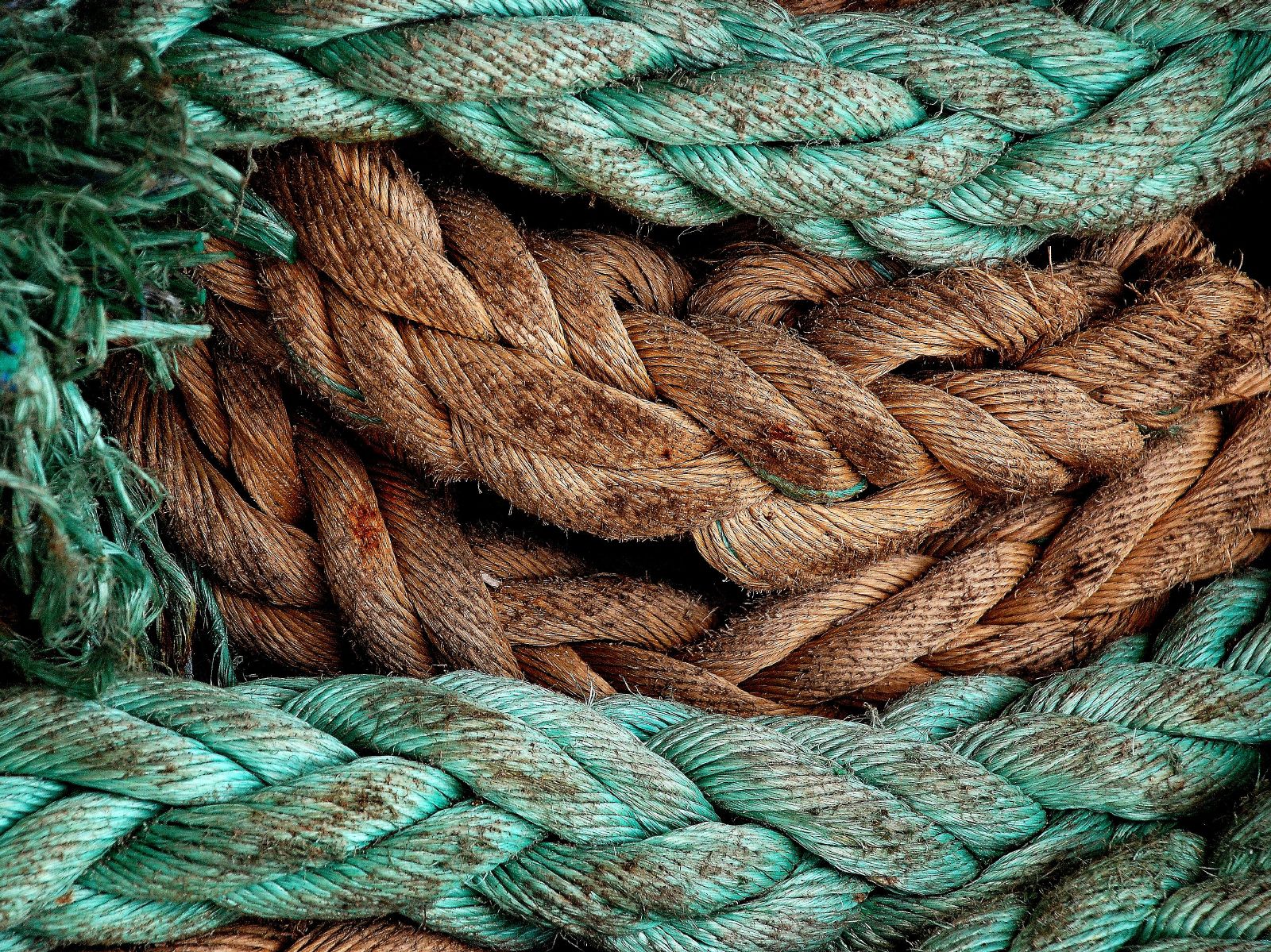 green rope covered with dark colored threads and green moss