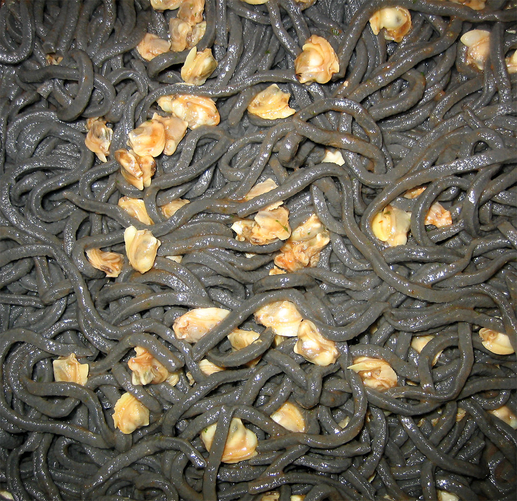 chains are covered with shellfish and shells