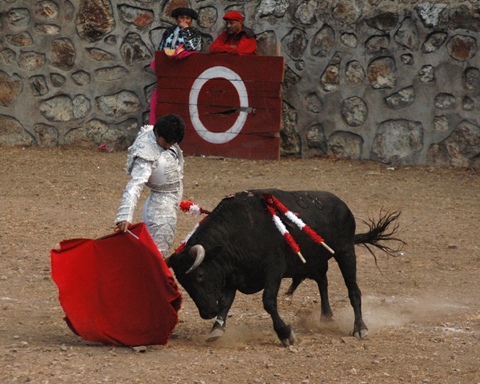 man on a bull with white suit and red rug