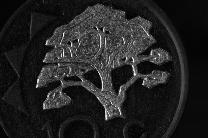 a tree is depicted in this silver plaque