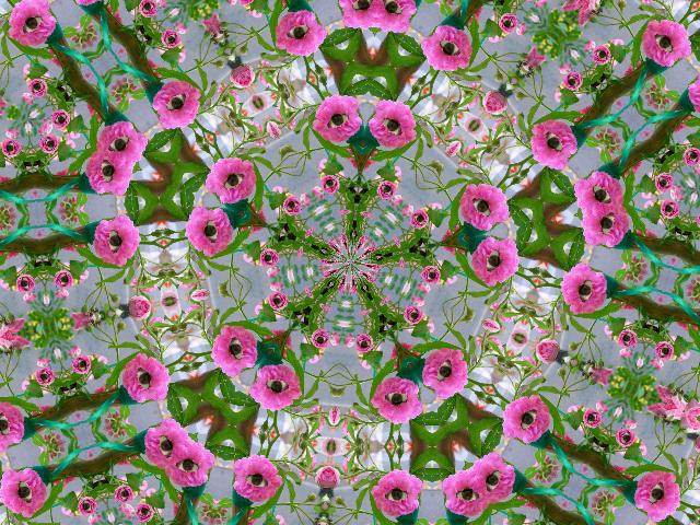 an interesting floral wallpaper design with pink flowers