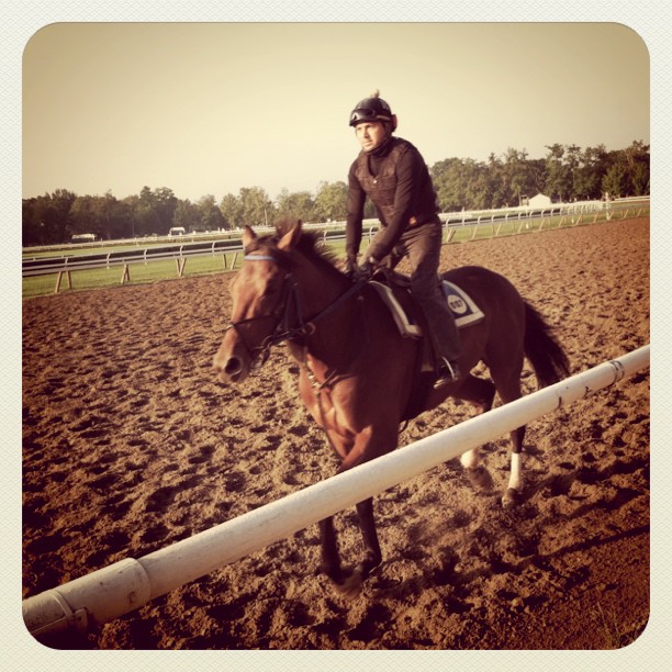 a jockey rides a horse on a track