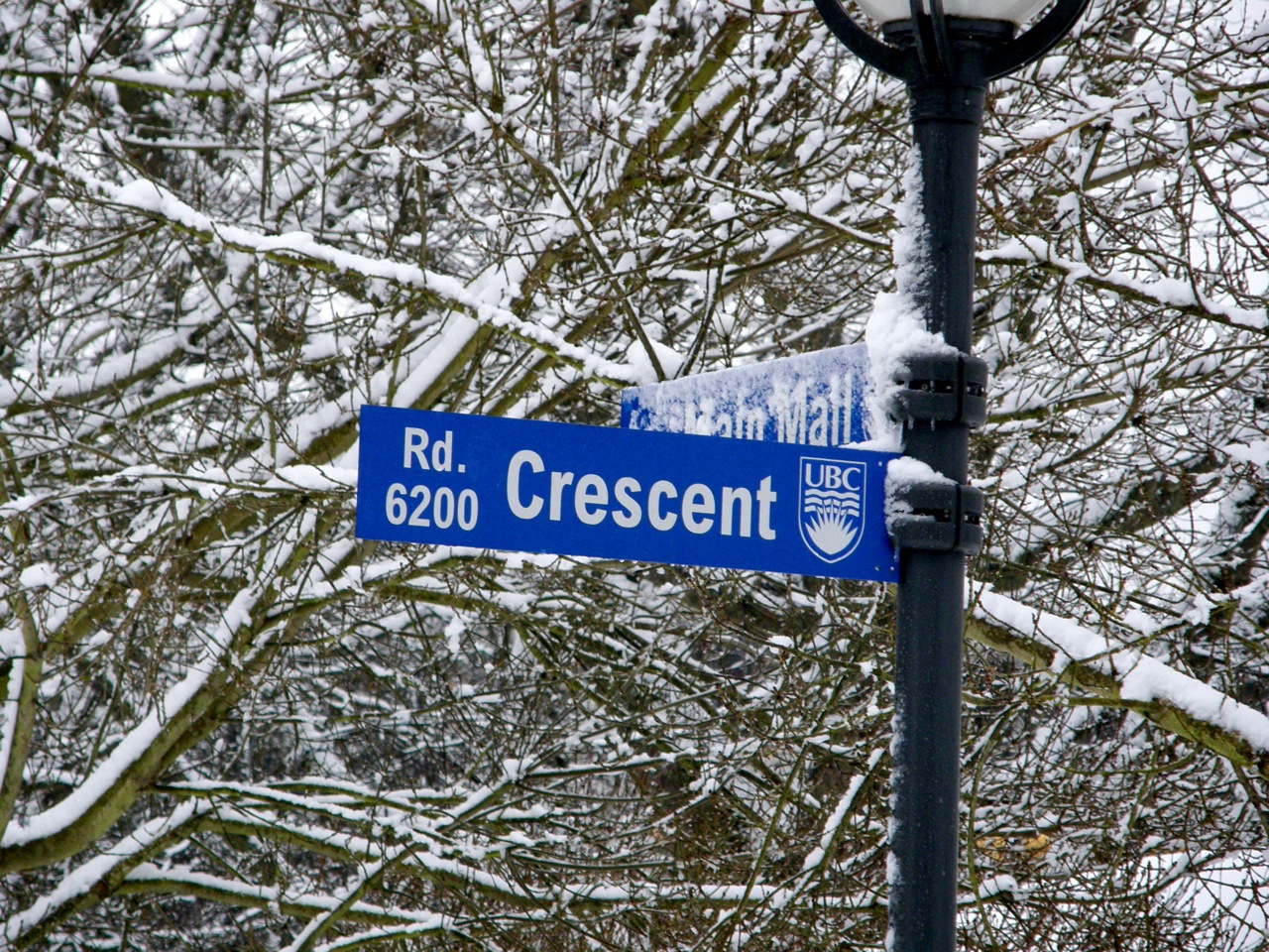 street signs with snow on trees and one of the lights on the pole
