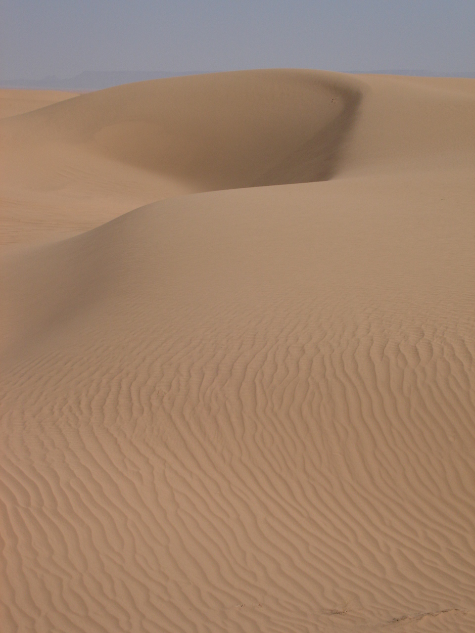 ripples in the desert sand as if it were being raining