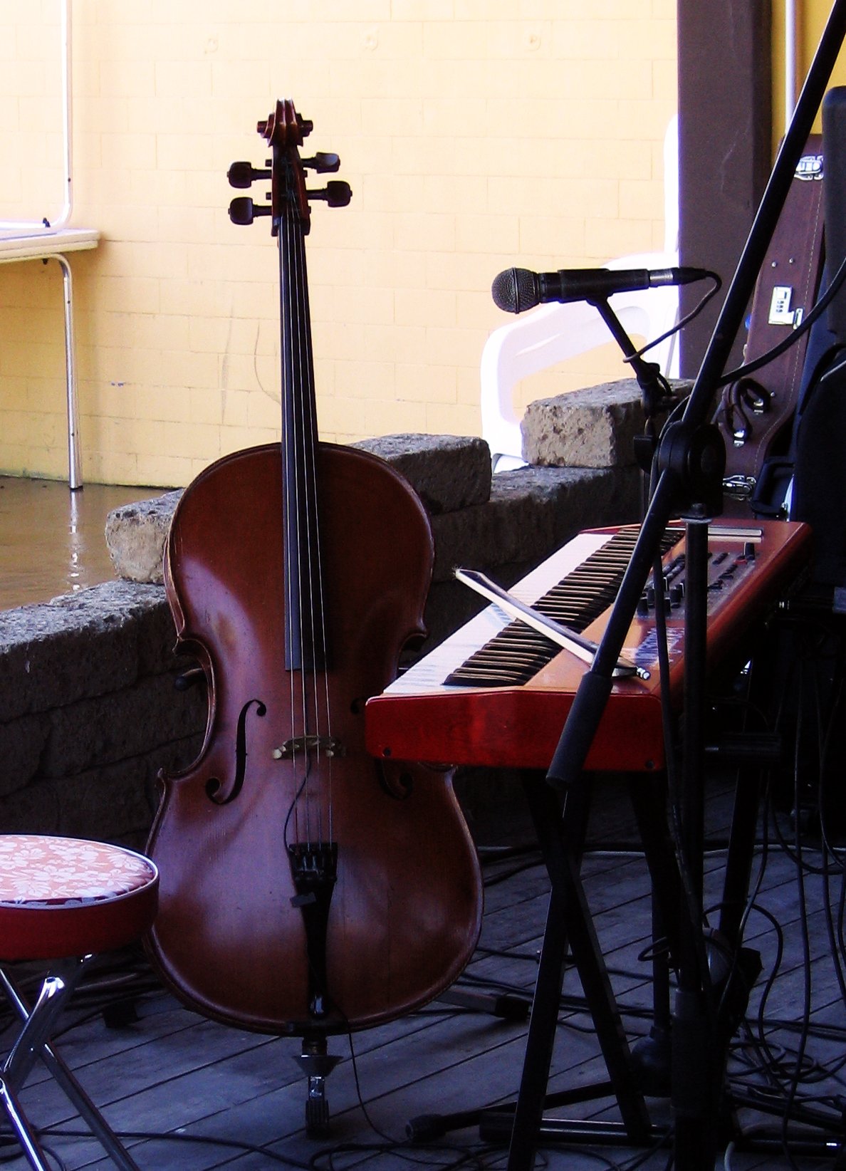 the cello is standing upright beside the piano