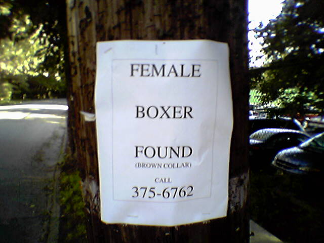 a box sign posted on a wooden pole
