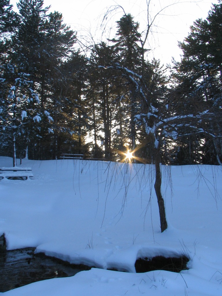 the sun shines through a single tree across snow - covered water