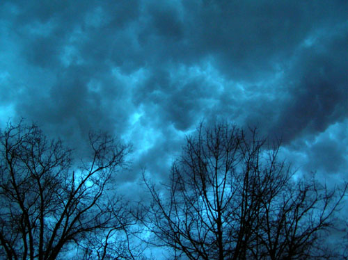 trees in the distance under a cloudy sky