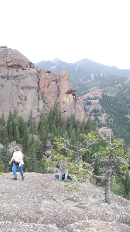 two people on a rock above some trees