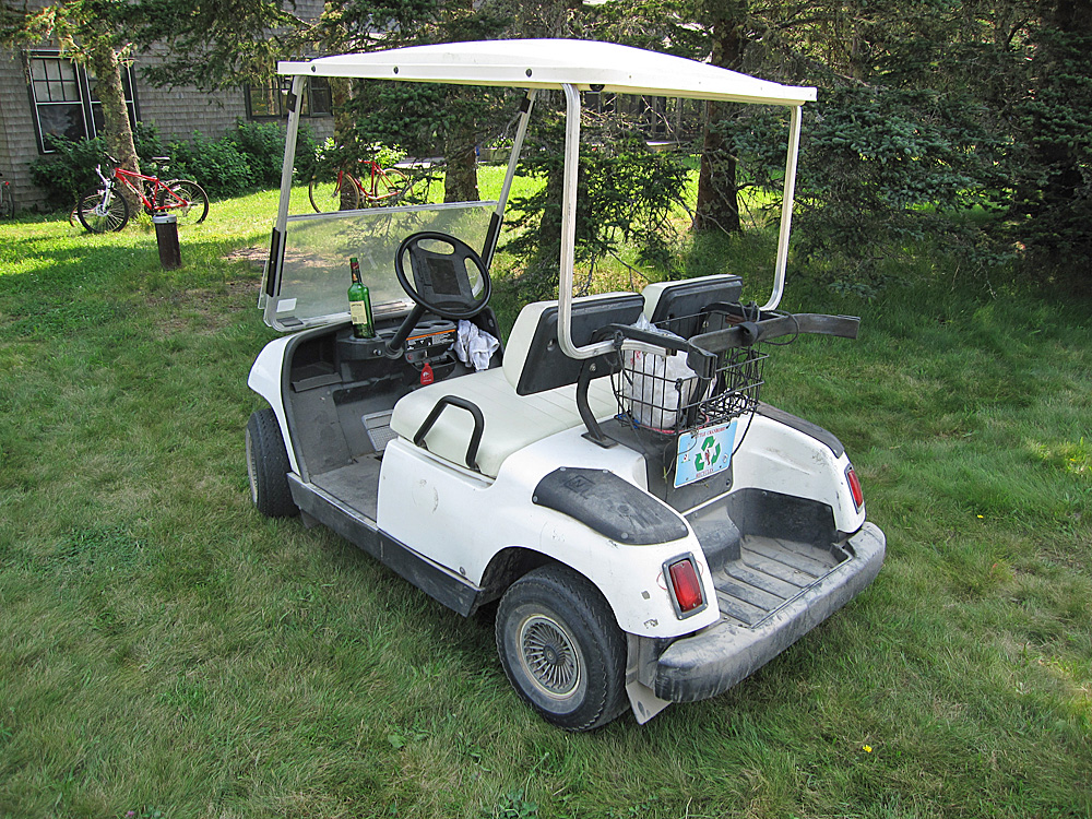 a golf cart with an umbrella on the grass