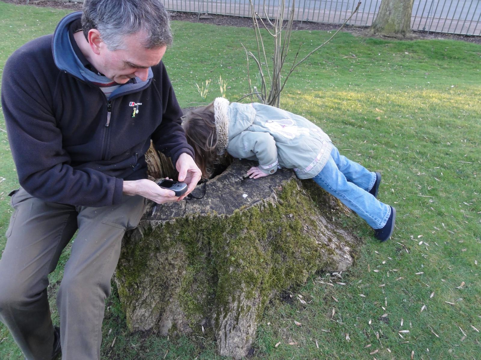 a man looking at a phone on top of a tree stump
