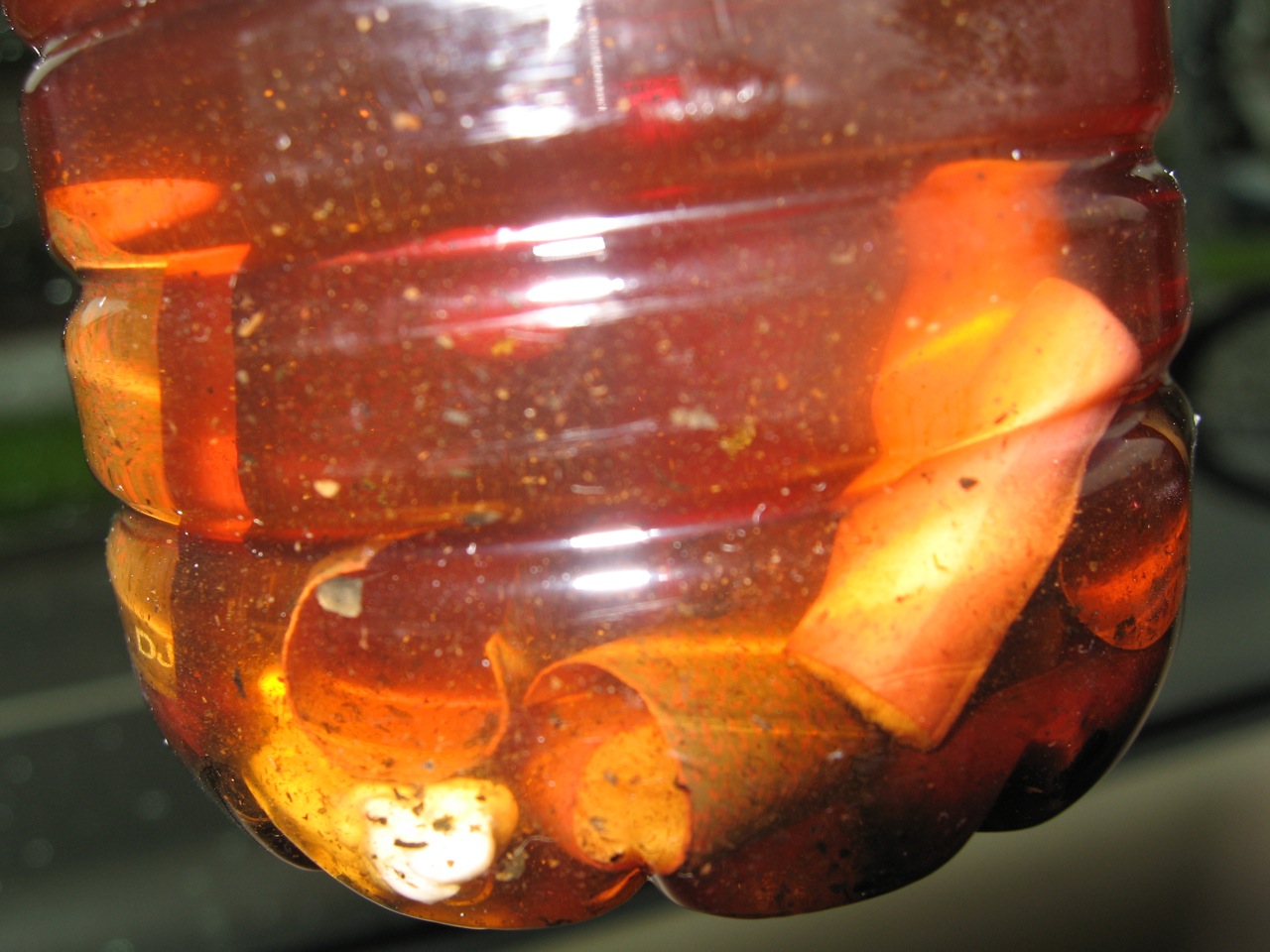 a bottle of food inside a glass container