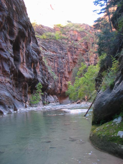 a narrow canyon with green vegetation next to it