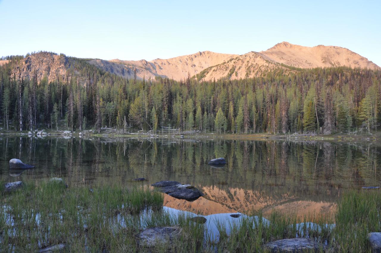 a pond in the middle of a wooded area