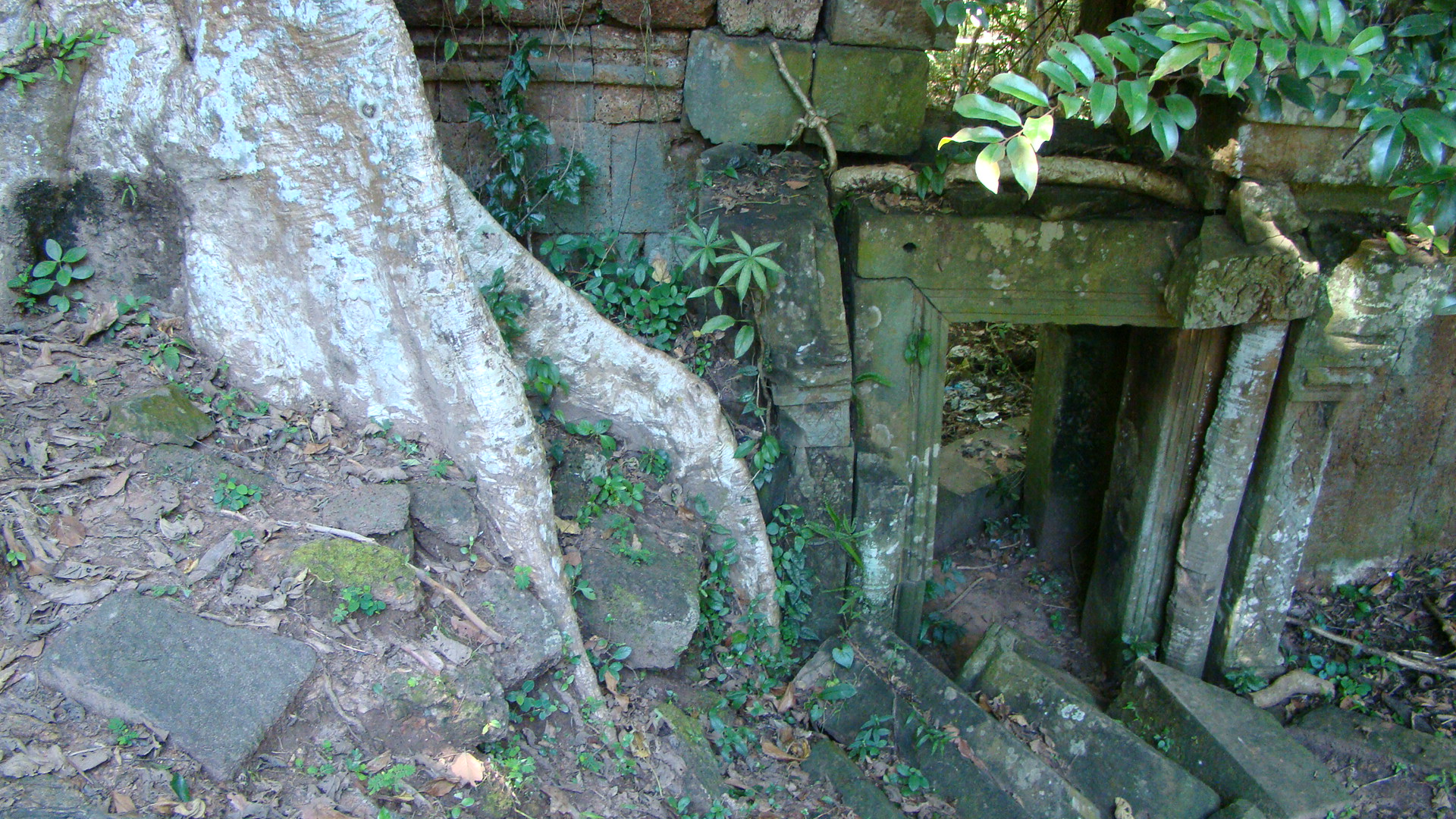 an old abandoned graveyard that has stairs and green leaves