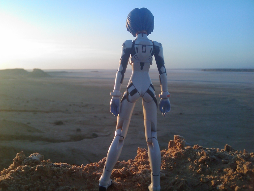 a robot woman stands on a rocky outcrop in the desert