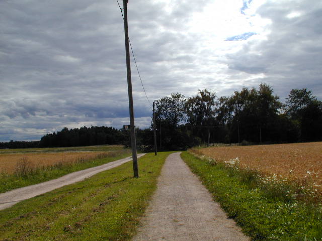 a long path between two field fields and a telephone pole