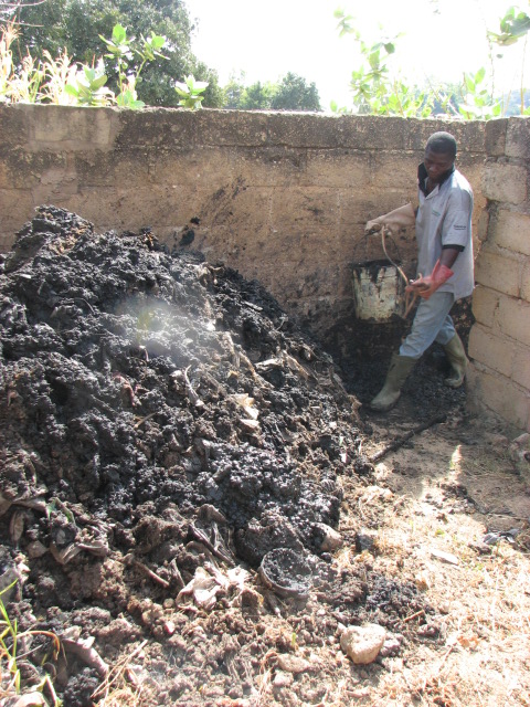 a man is digging through a pile of compost in the dirt