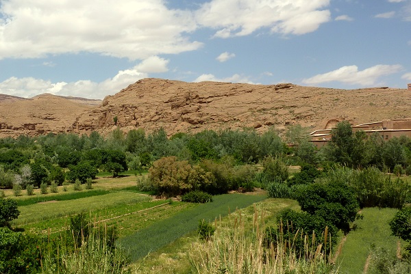 a green hillside is in the foreground with the mountains in the background