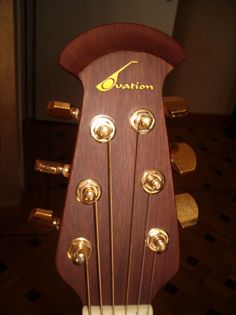 a guitar neck has the strings bent to show the strings