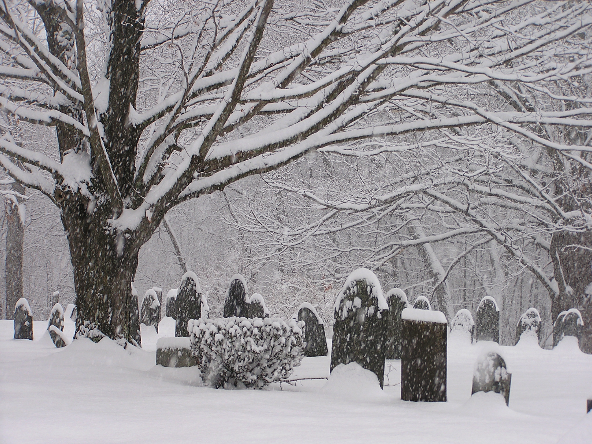 a snowy graveyard in the middle of winter