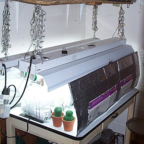 an automatic feeder filled with green plants inside of a home