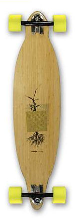 the back side of an unfinished skateboard showing the image of a tree and roots