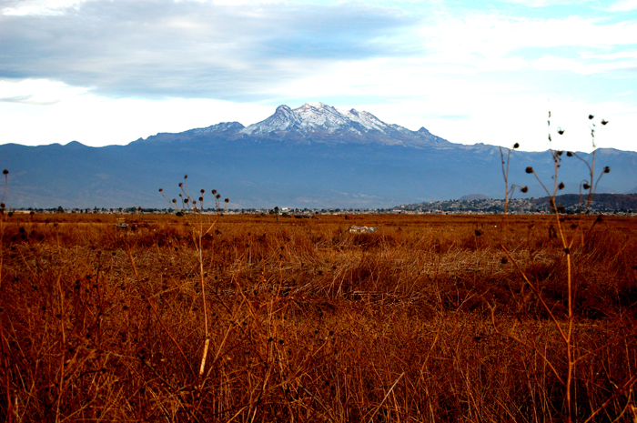 a mountain range with some trees in front of it