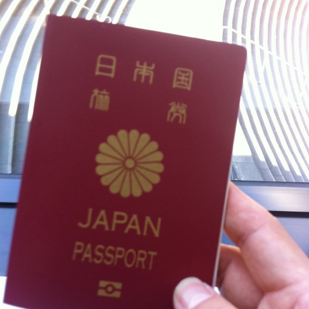 a passport being held up by a persons hand