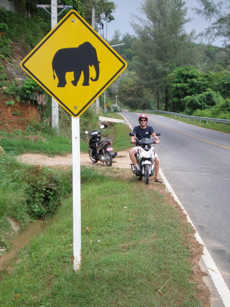 a street sign warning that there are elephants crossing