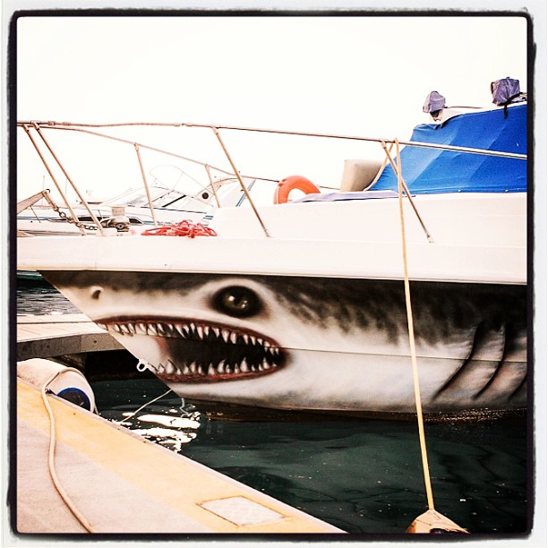 an animal with a huge mouth is on a boat