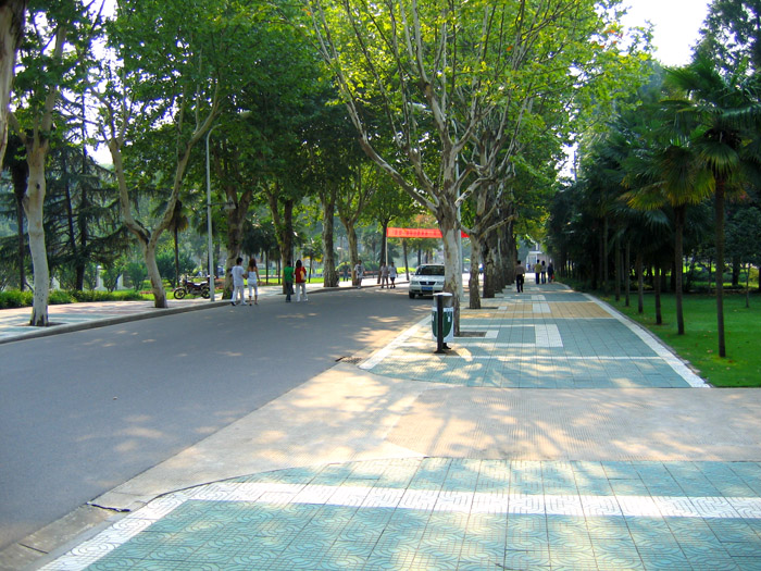 a street filled with people and trees on both sides