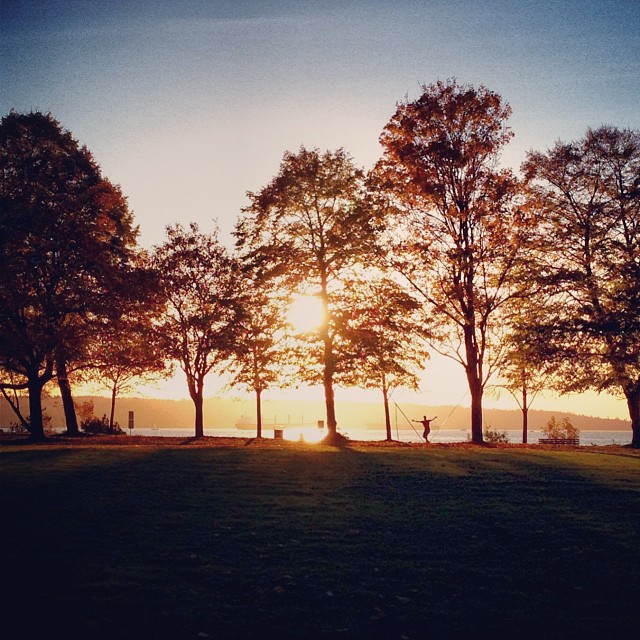 the sun rises above the trees in a park